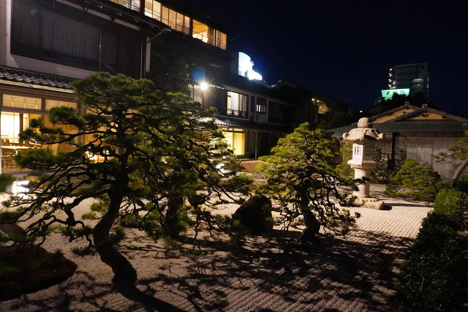 ライトアップされた夜の庭園